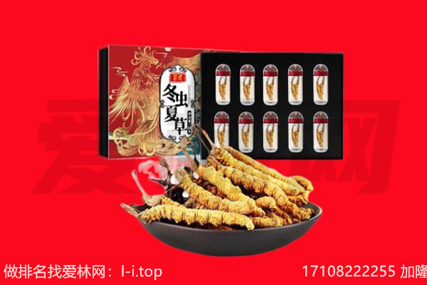 连平县回收虫草.jpg